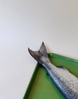 Wild Salmon Tails