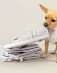 Newspaper Nosework Toy