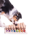 Pets Piano