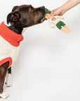 Hooman Nose Work Toy
