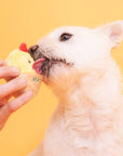 Egg Nose Work Toy