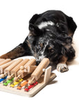 Pets Piano
