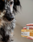Dog Perfume Timber Woof