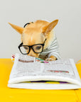 Newspaper Nosework Toy