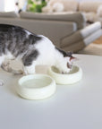 Halo Pet Bowl