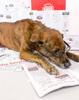 Newspaper Nosework Toy