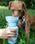 Springer Pets Travel Water Bottle