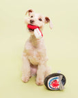 Tinned Octopus Nosework Toy