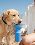 Springer Pets Travel Water Bottle