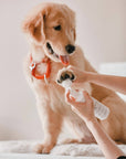 Amino Acid Paw Cleanser (Heart-Shaped)