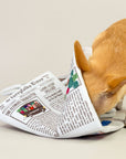 Newspaper Nosework Toy