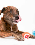Tinned Jamón Nosework Toy
