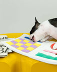 Newspaper Nosework Toy