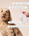 Goldie - So Fresh, So Clean Probiotic Wipes