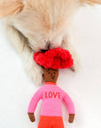 Hooman Nose Work Toy
