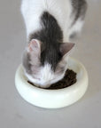 Halo Pet Bowl