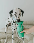 Springer Pets Travel Water Bottle
