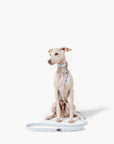 Correa Levante Dog Leash