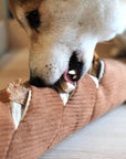 dog eat treat in Lambwolf Collective Baguette plush nose work toy for dog