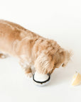 dog smells Lambwolf Collective oyster plush toy