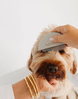 Pupwell Detailer Comb Brush – designed for gentle detangling, precision grooming, and a sleek finish for every coat.