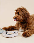 godendoodle eat blueberries in Pupwell silicone happy feeling lick mat for dogs
