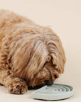 golden doodle and Pupwell silicone happy feeling lick. mat