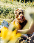 Dog lying on a person's lap in a grassy field with a pouch of Rigby Chicken dog treat held by the person.