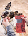 Ryoken instinct Adventure Ready Bar Treat for adventure dog at Puppist.com