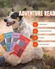 Ryoken Instinct Adventure Ready Dog Bar Information with dog on background