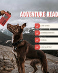 Ryoken Instinct Adventure Bar Beef information for adventure dog now at puppist.com