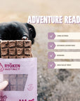 Ryoken Instinct Lamb Adventure bar for dog information