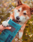 Shiba Inu Eat Seafood Ryoken Instinct Adventure ready bar for dog