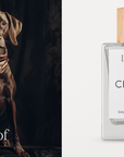 CHASE Dog Perfume 100ml
