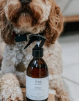 Smooth Criminal Calming Leave-In Detangler