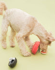 Tinned Mussel Nosework Toy