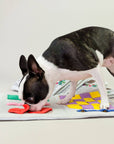 Newspaper Nosework Toy