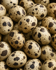Quail Egg