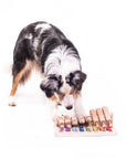 Pets Piano