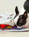 Newspaper Nosework Toy