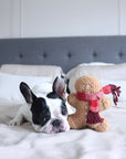 Dog lying on a bed with a ginger man toy wearing a red scarf