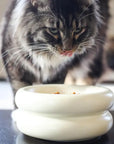 Elevated Halo Pet Bowl