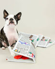 Newspaper Nosework Toy