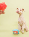 Tinned Jamón Nosework Toy