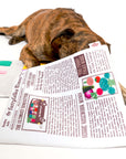Newspaper Nosework Toy