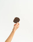 Bison Burger Jerky 2.5oz