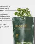 dogged freeze dried boccoli single-ingredient dog treat for allergy support