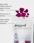 dogged freeze dried beet dog treat single-ingredient dog treats support immune function