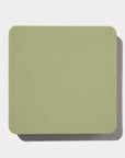 Dogged 3 in 1 Slow feeder cover in Green color