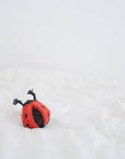 Ladybug Pop Enrichment Toy